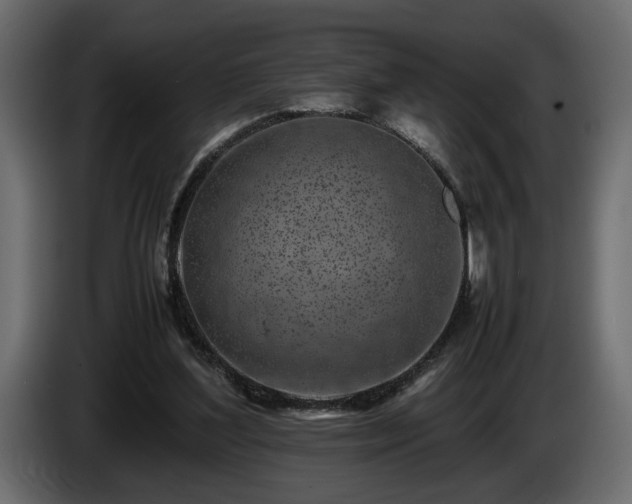 X0000085830204200703231428