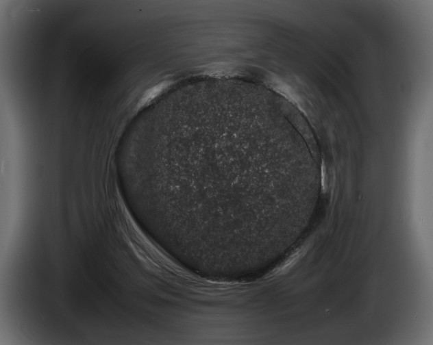 X0000085830205200703231428