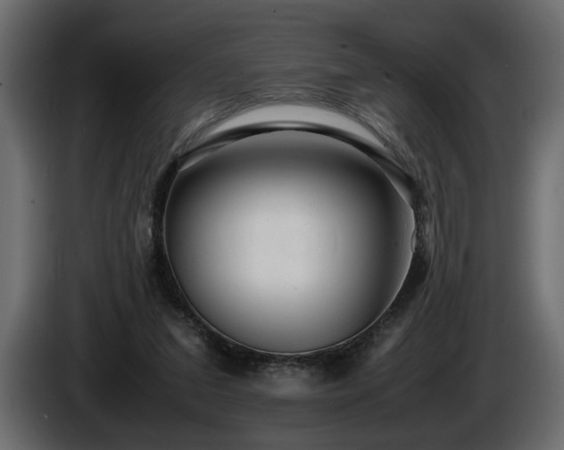 X0000085830207200703231428