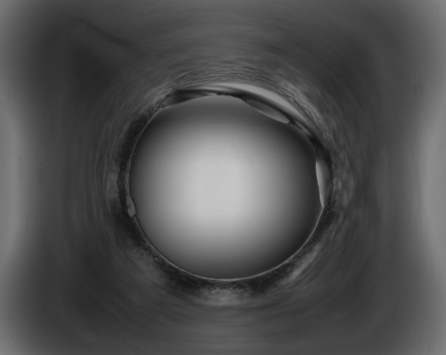 X0000085830209200703231427