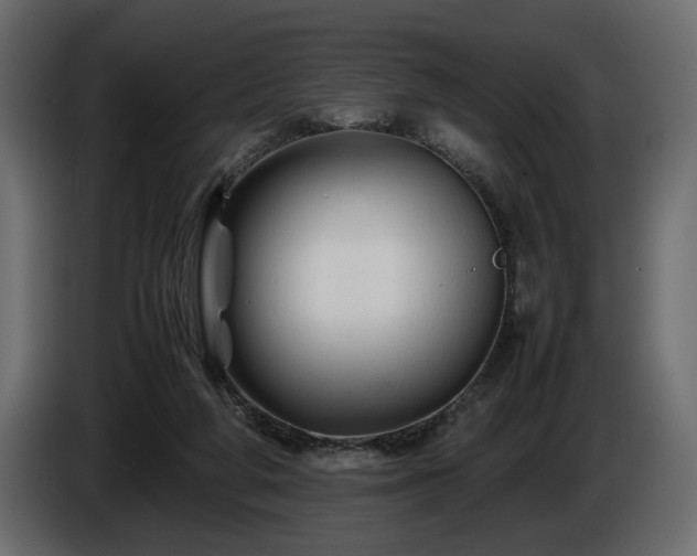 X0000085830210200703231427