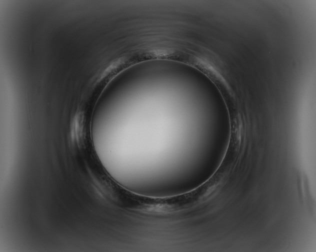 X0000085830212200703231427