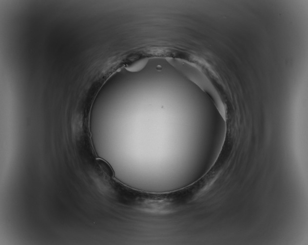 X0000085830213200703231427