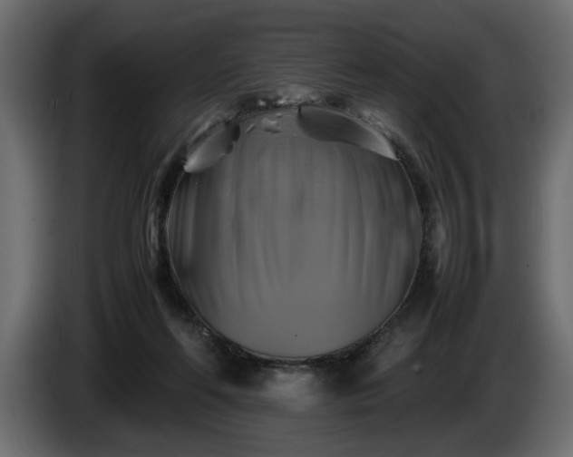 X0000085830214200703231427