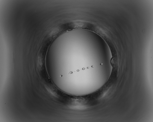 X0000085830215200703231427