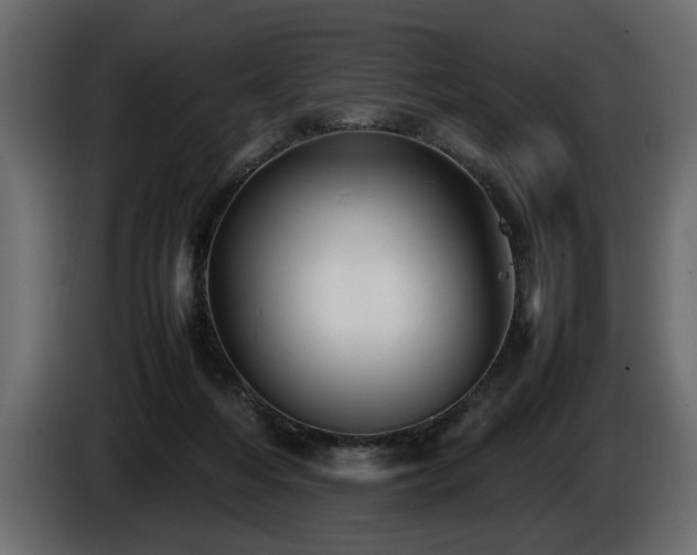 X0000085830216200703231427