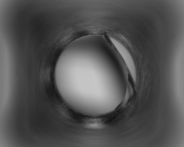 X0000085830217200703231427