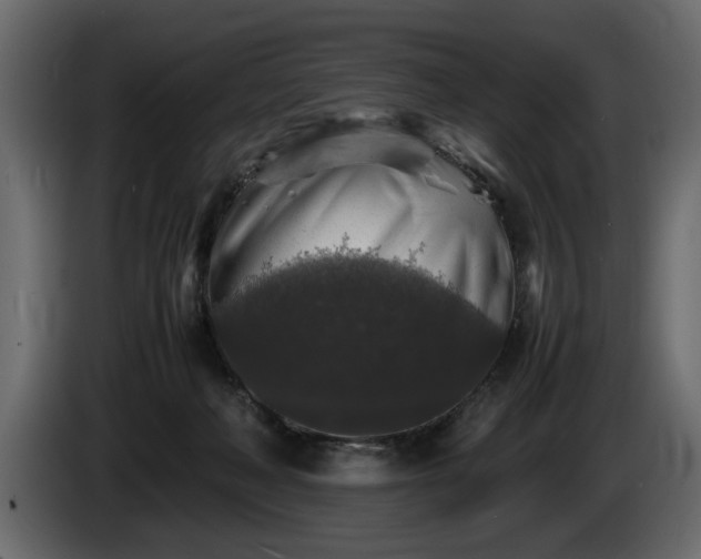 X0000085830222200703231427