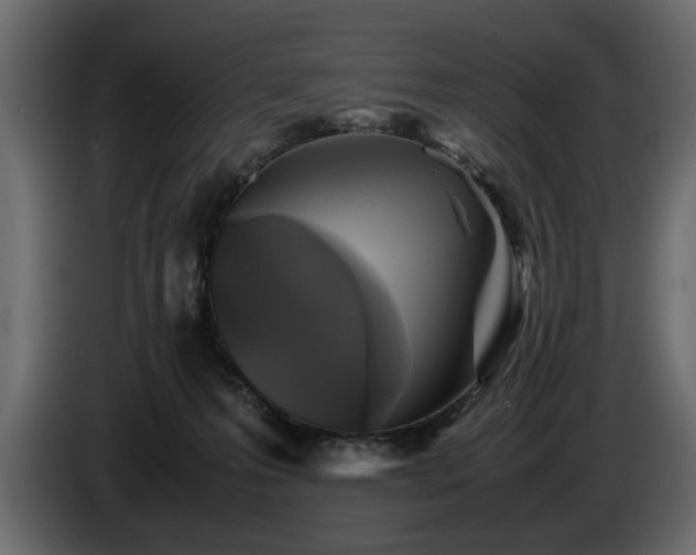 X0000085830223200703231427