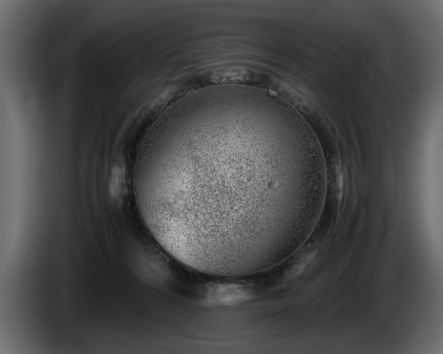 X0000085830224200703231427