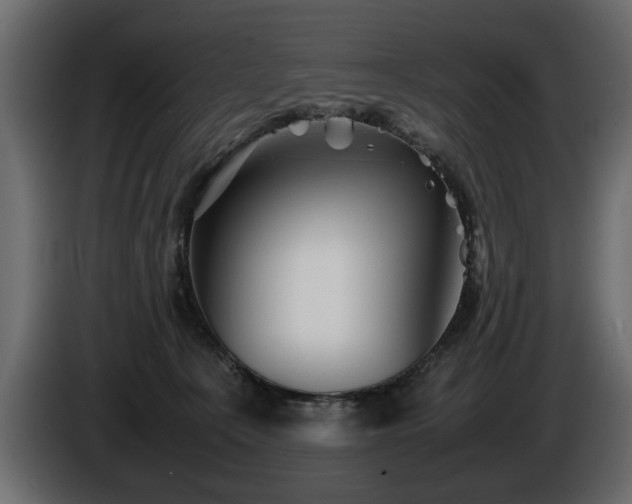 X0000085830225200703231427