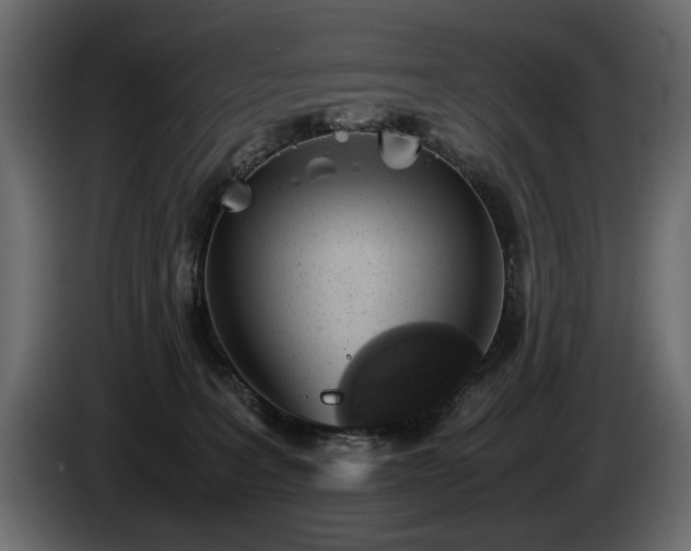 X0000085830227200703231427