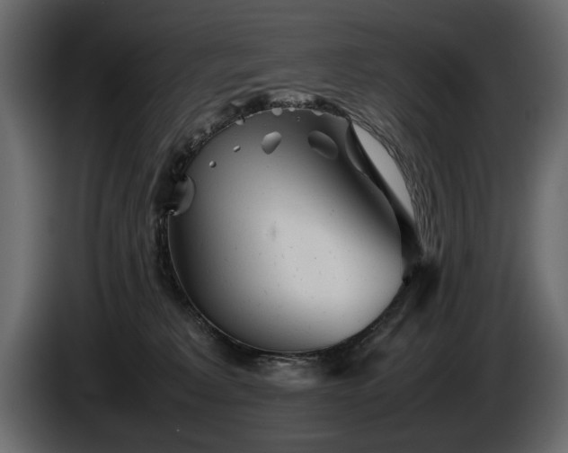 X0000085830229200703231427