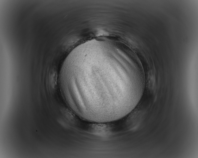 X0000085830230200703231427