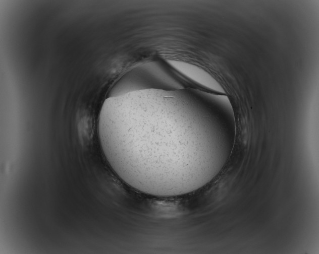 X0000085830232200703231427