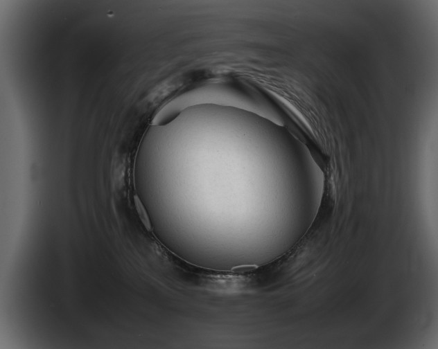 X0000085830233200703231427