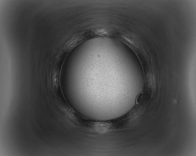 X0000085830234200703231427