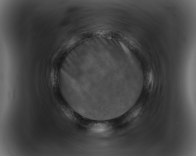 X0000085830236200703231427