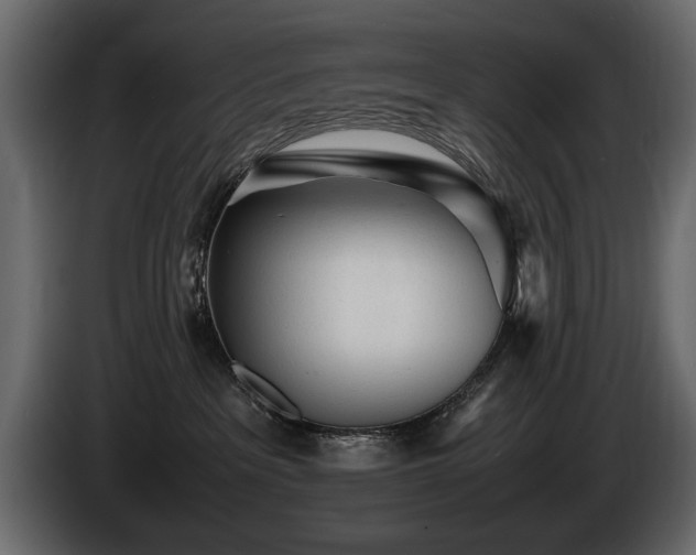 X0000085830237200703231427