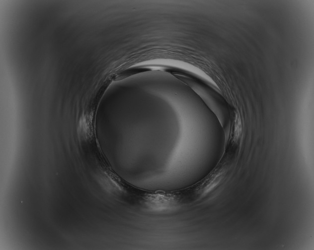 X0000085830239200703231427