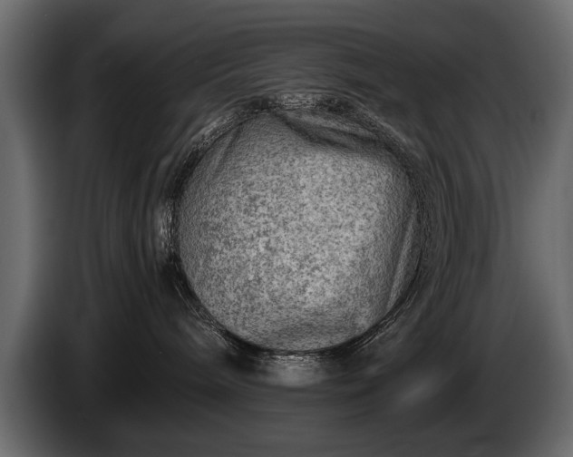 X0000085830240200703231427