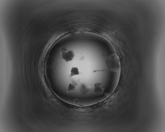 X0000085830241200703231426