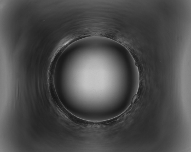 X0000085830242200703231426