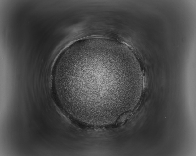 X0000085830243200703231426