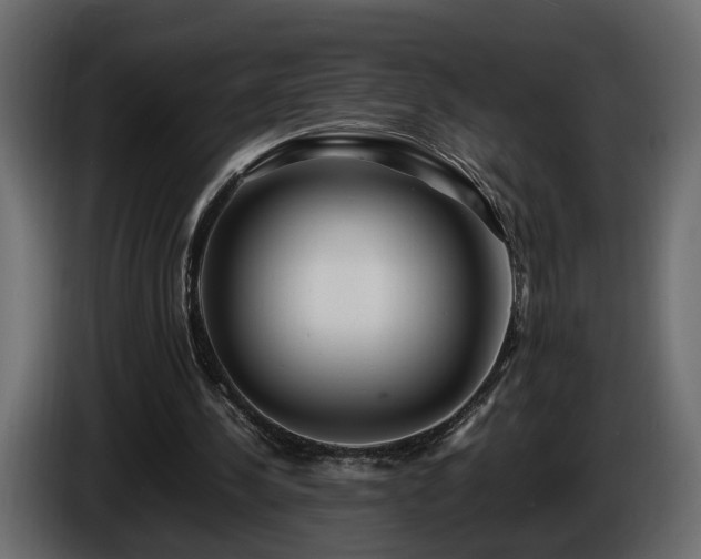 X0000085830244200703231426