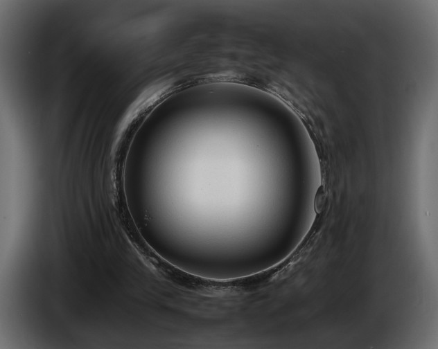 X0000085830245200703231426