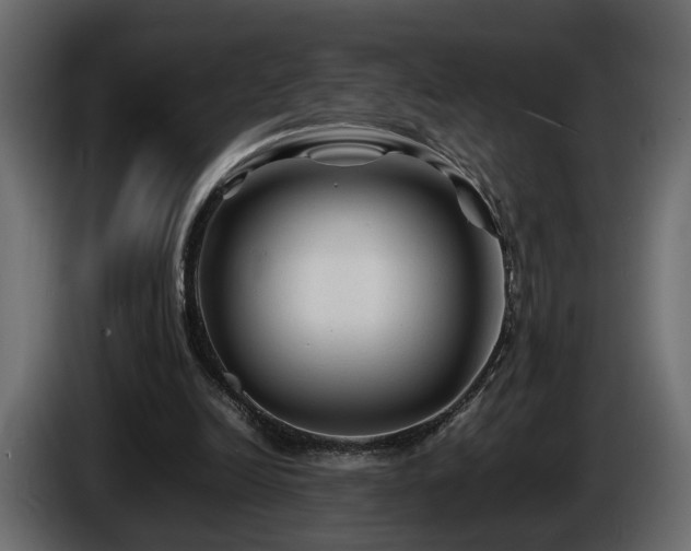 X0000085830246200703231426