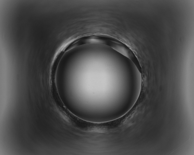 X0000085830248200703231426