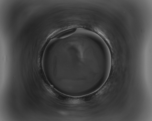 X0000085830249200703231426