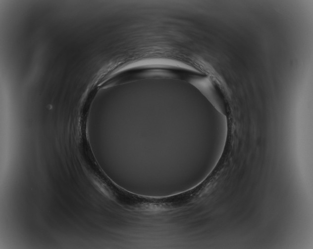 X0000085830250200703231427