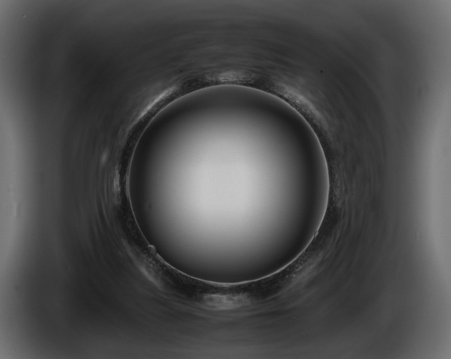 X0000085830251200703231427