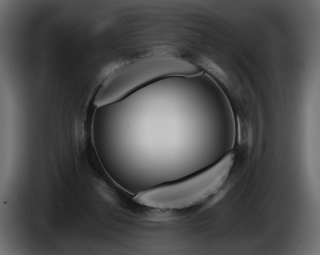 X0000085830252200703231427