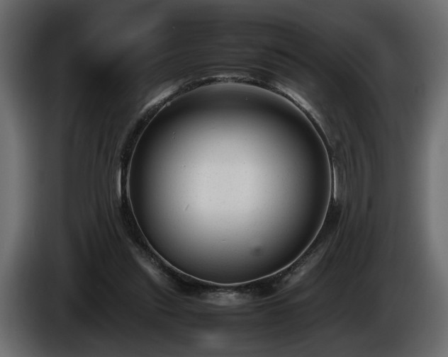 X0000085830253200703231427