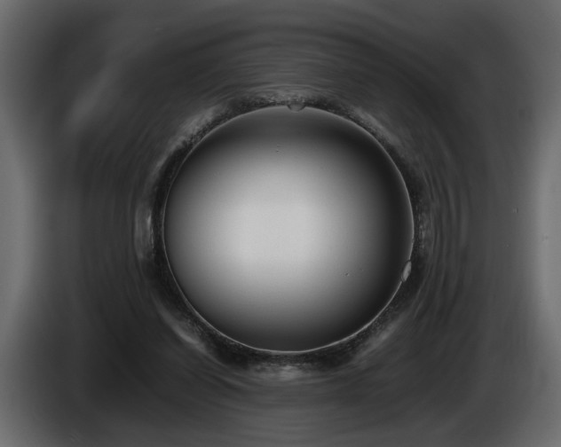 X0000085830254200703231427