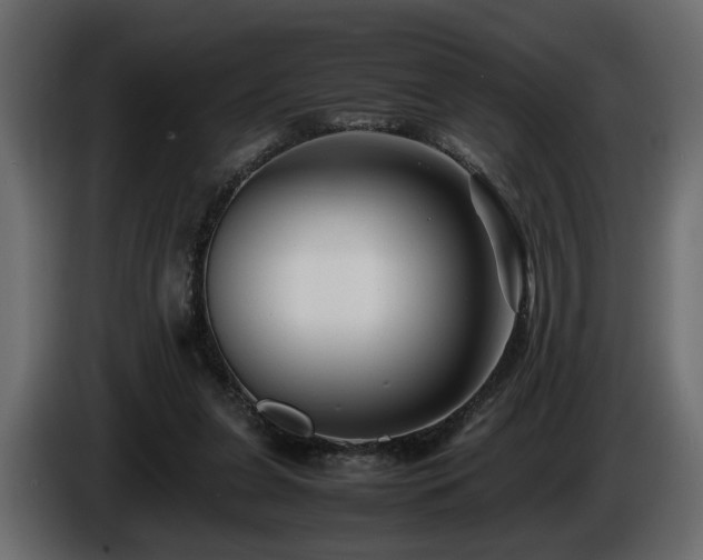 X0000085830255200703231427