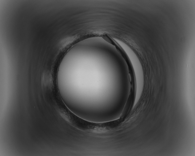 X0000085830256200703231427