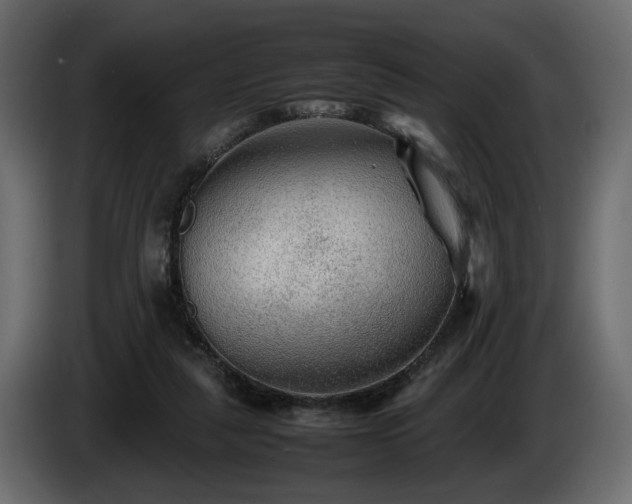 X0000085830259200703231427