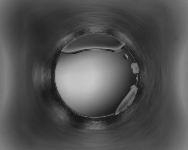 X0000085830260200703231427