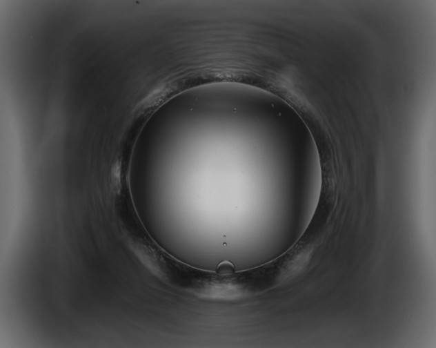 X0000085830262200703231427