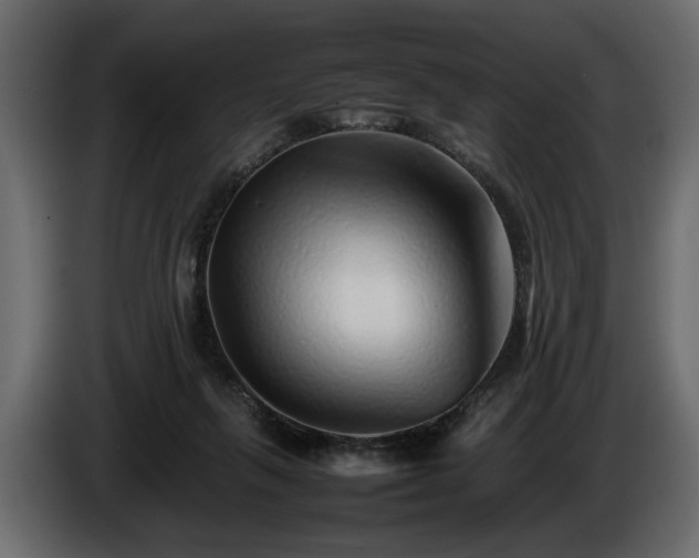 X0000085830263200703231427