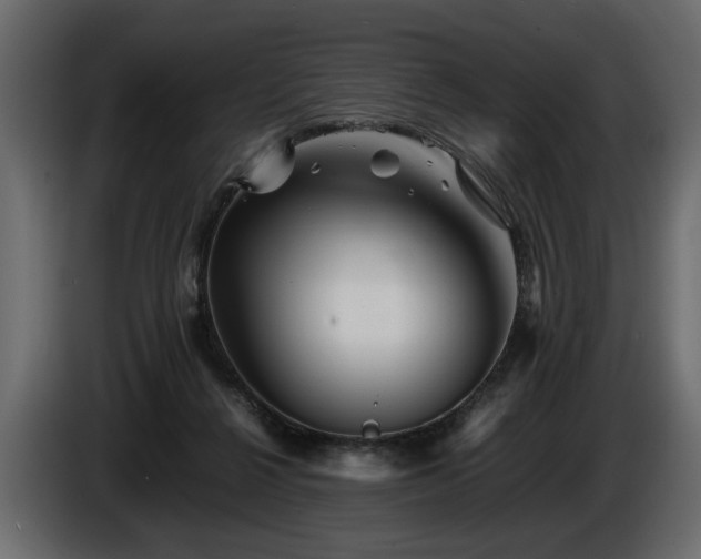 X0000085830264200703231427