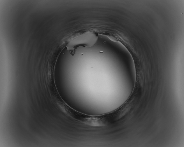 X0000085830265200703231427