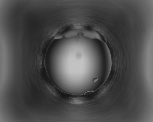 X0000085830268200703231427