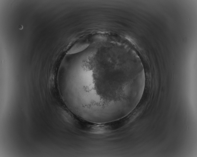 X0000085830269200703231427