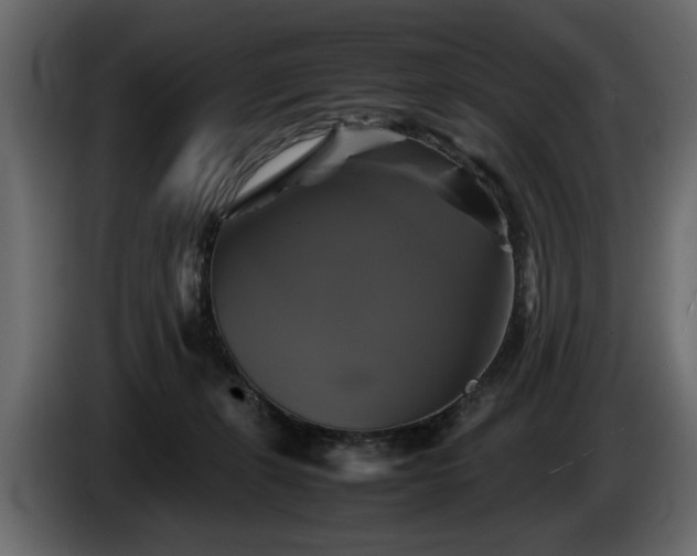 X0000085830271200703231427