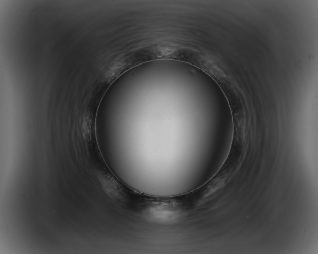 X0000085830274200703231427